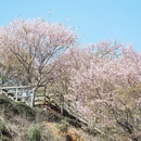 龙岩旅游 缩略图 11