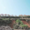 龙岩旅游 缩略图 16