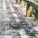 龙岩旅游 缩略图 15