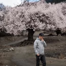 林芝旅游 缩略图 5