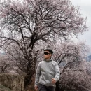 林芝旅游 缩略图 2