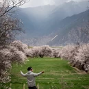 林芝旅游 缩略图 9