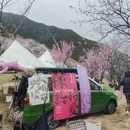 林芝旅游 缩略图 2