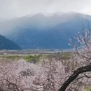 林芝旅游 缩略图 8