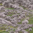 林芝旅游 缩略图 12