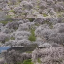 林芝旅游 缩略图 11