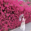 广州旅游 缩略图 18