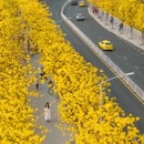 广州旅游 缩略图 13