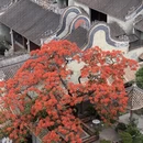 广州旅游 缩略图 15