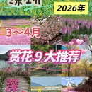 深圳旅游 缩略图 1