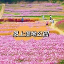 深圳旅游 缩略图 2