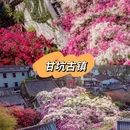 深圳旅游 缩略图 4