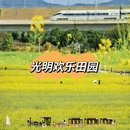 深圳旅游 缩略图 7