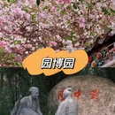 深圳旅游 缩略图 5