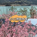 深圳旅游 缩略图 3
