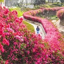 广州旅游 缩略图 3