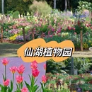 深圳旅游 缩略图 6