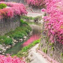 广州旅游 缩略图 1