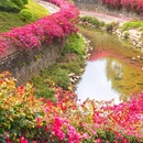 广州旅游 缩略图 6
