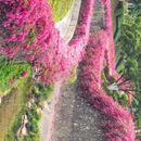 广州旅游 缩略图 8