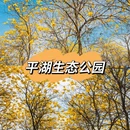 深圳旅游 缩略图 9