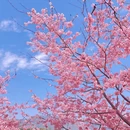 龙岩旅游 缩略图 2