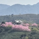 龙岩旅游 缩略图 4
