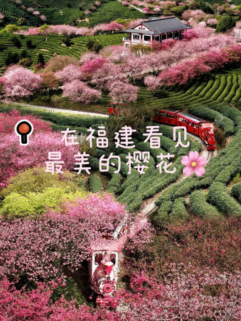 龙岩旅游