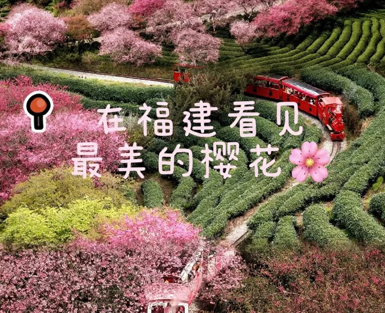 龙岩旅游 1