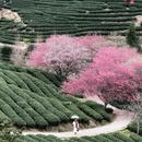 龙岩旅游 缩略图 7