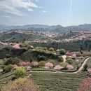 龙岩旅游 缩略图 5