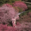 龙岩旅游 缩略图 5