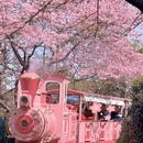 龙岩旅游 缩略图 1