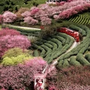龙岩旅游 缩略图 3