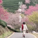 龙岩旅游 缩略图 2
