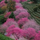 龙岩旅游 缩略图 2