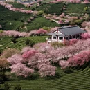 龙岩旅游 缩略图 4