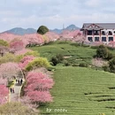 龙岩旅游 缩略图 13