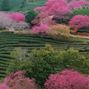 龙岩旅游 缩略图 4