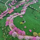 龙岩旅游 缩略图 1