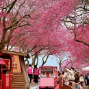 龙岩旅游 缩略图 6