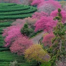 龙岩旅游 缩略图 5