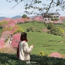 龙岩旅游 缩略图 11