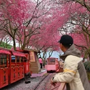龙岩旅游 缩略图 9