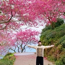 龙岩旅游 缩略图 7