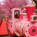 龙岩旅游 缩略图 11