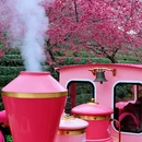 龙岩旅游 缩略图 10