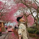 龙岩旅游 缩略图 14