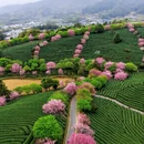福州旅游 缩略图 4
