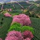 福州旅游 缩略图 2
